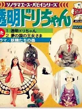 透明的小鸟封面图