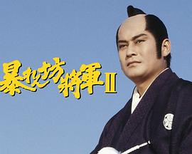 胡闹将军 II封面图