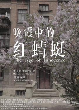 晚霞中的红蜻蜓封面图