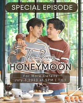 不曾忘记的承诺 特别篇：失而寻的蜜月封面图