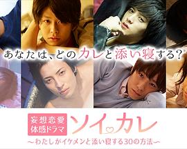 陪睡男友：我和帅哥一起入睡的30个方法封面图