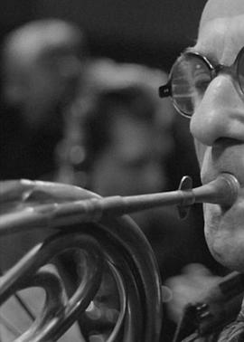 星期天的音乐家封面图