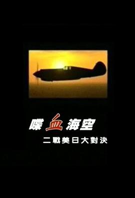 喋血海空 二战美日大对决封面图