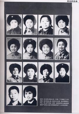 北大荒“11.7大火”四十年祭封面图