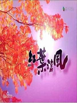 红叶瀛风封面图