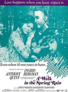 春雨漫步封面图