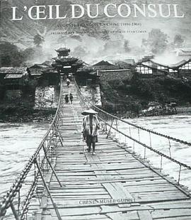 领事的眼光封面图