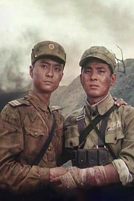 兄弟之情封面图