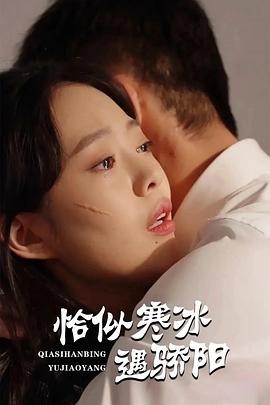 恰似寒冰遇骄阳封面图