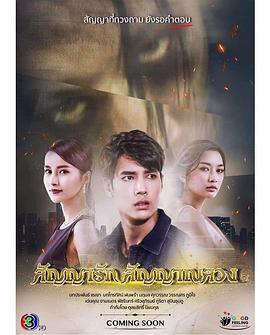 假爱迹象封面图