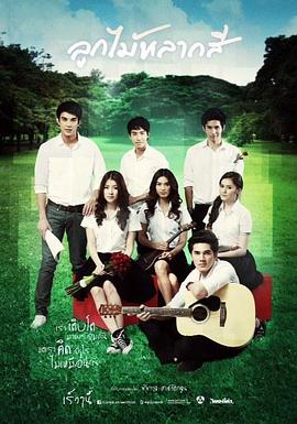 缤纷之实封面图