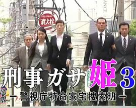 刑事ガサ公主3 警视厅特命家宅捜索班封面图