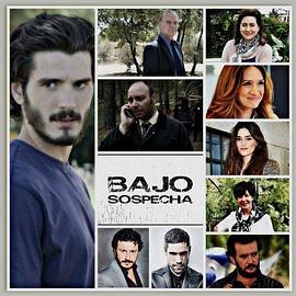 嫌疑之下 第二季封面图