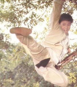 珠江群龙封面图