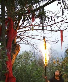 我为故乡的死寂举行一个良辰吉日封面图