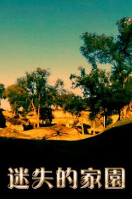 迷失的家园封面图