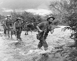 中华帝国之南封面图