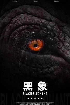 黑象封面图