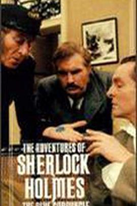 蓝宝石案封面图