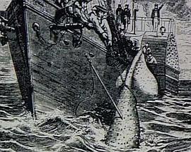 国家地理：大海怪封面图