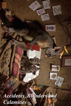 事故、错误和灾难封面图