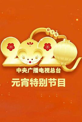 2020年中央广播电视总台元宵节特别节目封面图