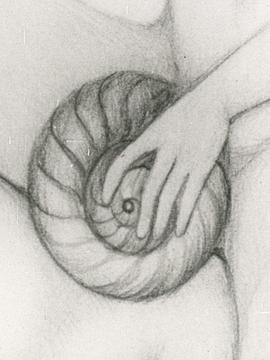 Escargot de Venus封面图