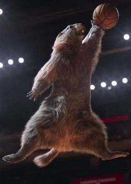 土拨鼠奥运会封面图