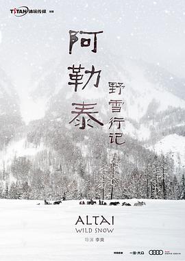 阿勒泰野雪行记封面图