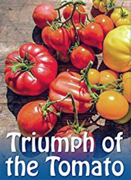 番茄的胜利封面图