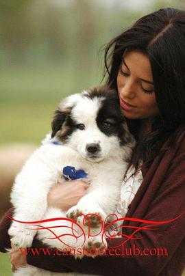 希拉 第二季封面图