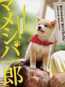 豆柴一郎封面图