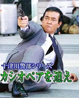 十津川警部系列（20）追击卧铺特快仙后座号封面图