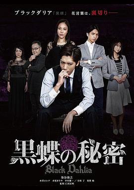 黑蝶的秘密封面图