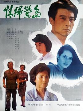 情归鹭岛封面图