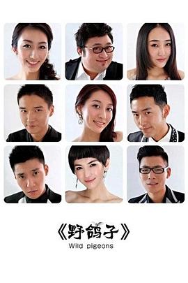 野鸽子封面图
