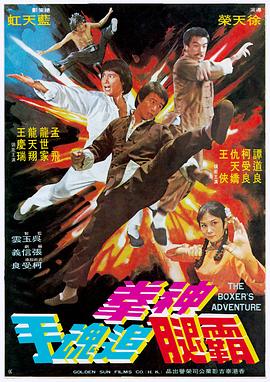 神拳霸腿追魂手封面图