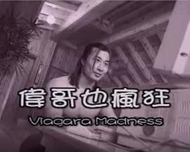 伟哥也疯狂封面图