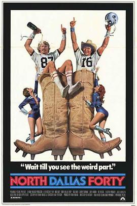 达拉斯猛龙封面图