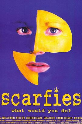 围巾族的故事封面图