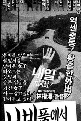 蝴蝶怀中哭泣封面图