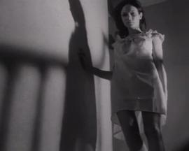 从未被看见的恐怖封面图