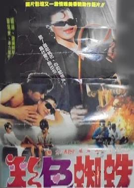 彩色蜘蛛封面图