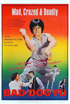 小子命大封面图