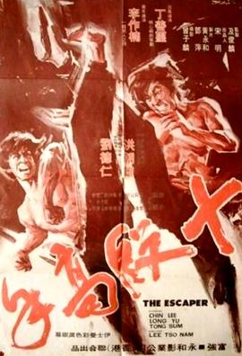 十段高手封面图