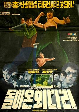 独脚客归来封面图