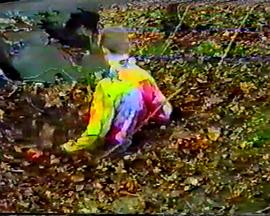 丧尸入侵封面图