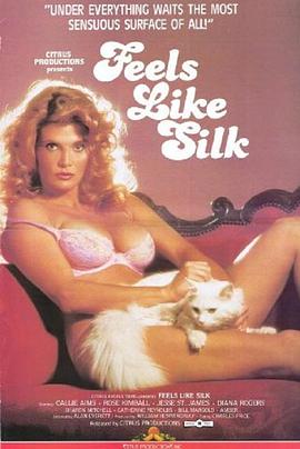 感觉亦柔情封面图