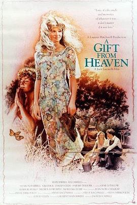 天堂来的礼物封面图