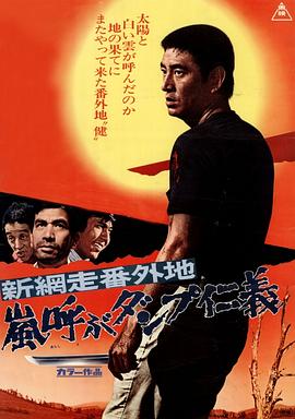 新网走番外地：暴风般仁义封面图